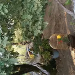 4 مكان تخييم *