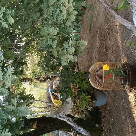 A Caravana Tteu Campsite *