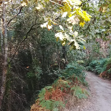 4 Campsite